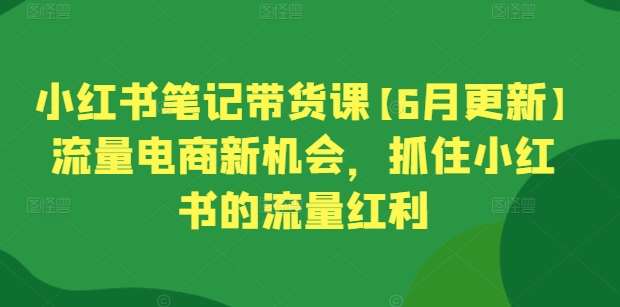 小红书笔记带货课【6月更新】流量电商新机会，抓住小红书的流量红利插图零零网创资源网