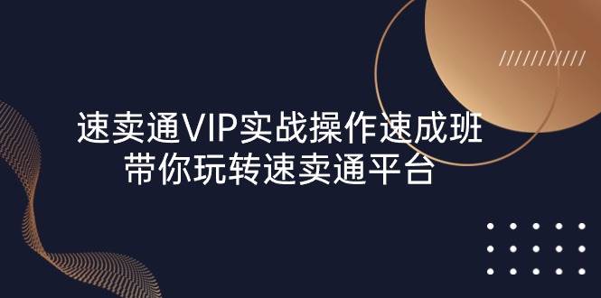 （10935期）速卖通 VIP实战操作-速成班，带你玩转速卖通平台（23节）插图零零网创资源网