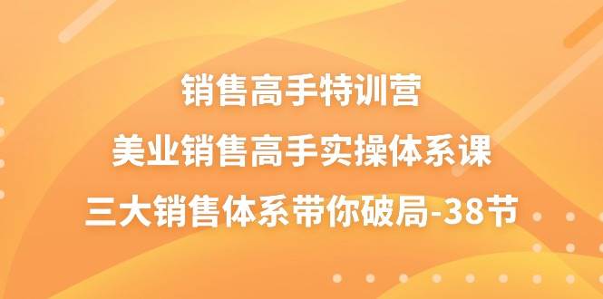 销售高手特训营，美业销售高手实操体系课，三大销售体系带你破局（38节）插图零零网创资源网