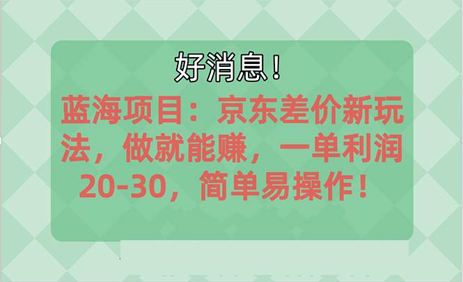 （10989期）越早知道越能赚到钱的蓝海项目：京东大平台操作，一单利润20-30，简单…插图零零网创资源网