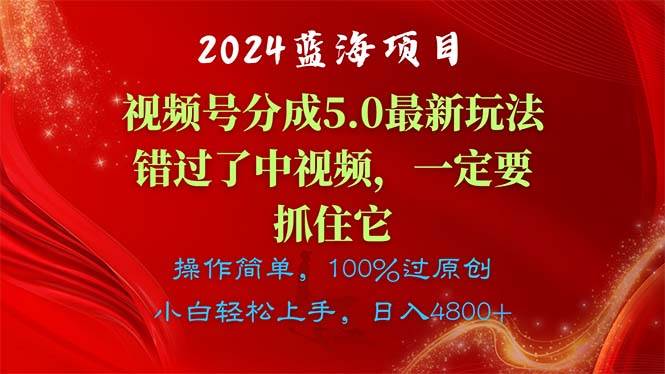 （11032期）2024蓝海项目，视频号分成计划5.0最新玩法，错过了中视频，一定要抓住…插图零零网创资源网