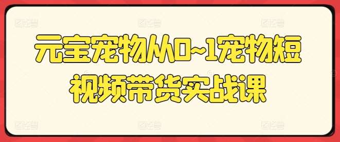 元宝宠物从0~1宠物短视频带货实战课插图零零网创资源网