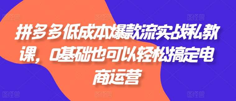 拼多多低成本爆款流实战私教课，0基础也可以轻松搞定电商运营插图零零网创资源网