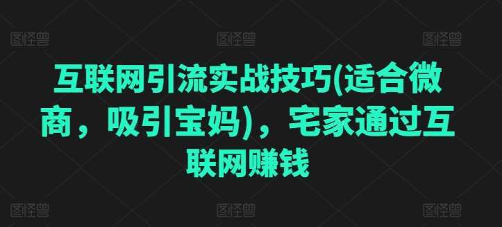 互联网引流实战技巧(适合微商，吸引宝妈)，宅家通过互联网赚钱插图零零网创资源网