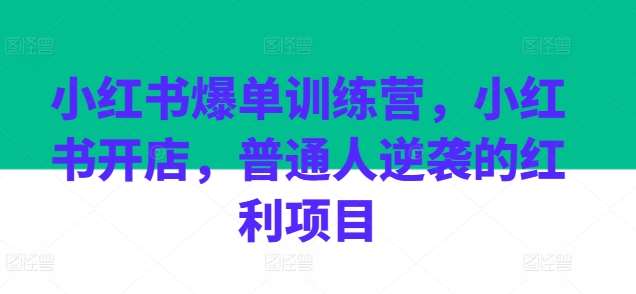 小红书爆单训练营，小红书开店，普通人逆袭的红利项目插图零零网创资源网