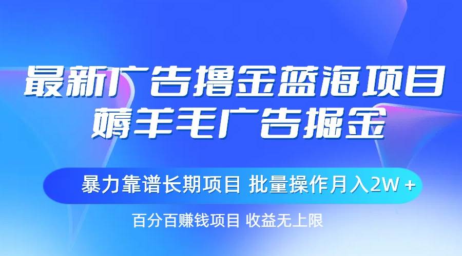 （11193期）最新广告撸金蓝海项目，薅羊毛广告掘金 长期项目 批量操作月入2W＋插图零零网创资源网