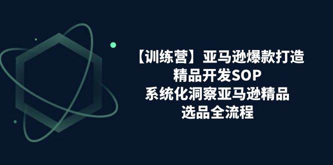 （11210期）【训练营】亚马逊爆款打造之精品开发SOP，系统化洞察亚马逊精品选品全流程插图零零网创资源网