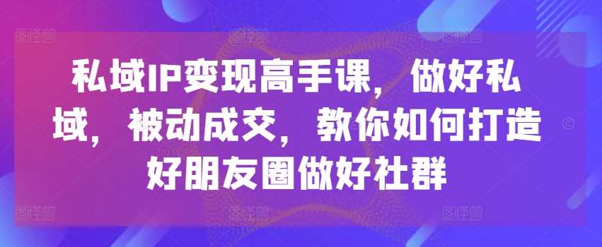 私域IP变现高手课，做好私域，被动成交，教你如何打造好朋友圈做好社群插图零零网创资源网