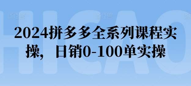 2024拼多多全系列课程实操，日销0-100单实操【必看】插图零零网创资源网