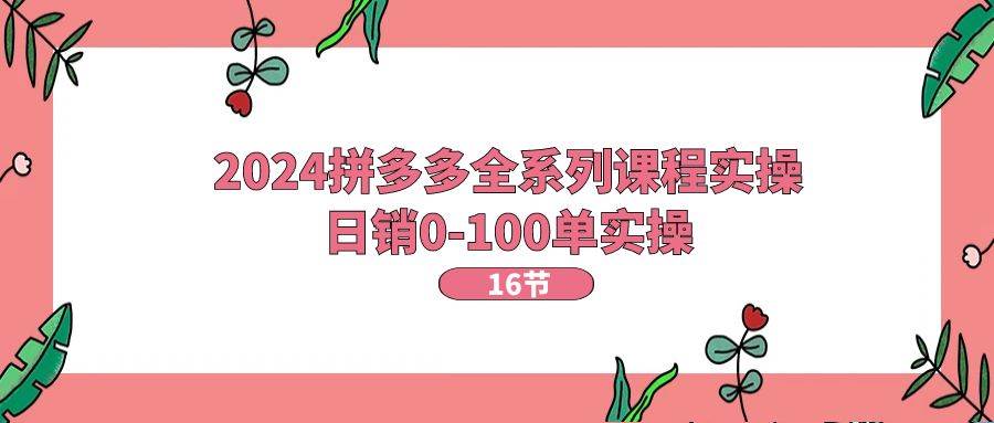 （11222期）2024拼多多全系列课程实操，日销0-100单实操【16节课】插图零零网创资源网