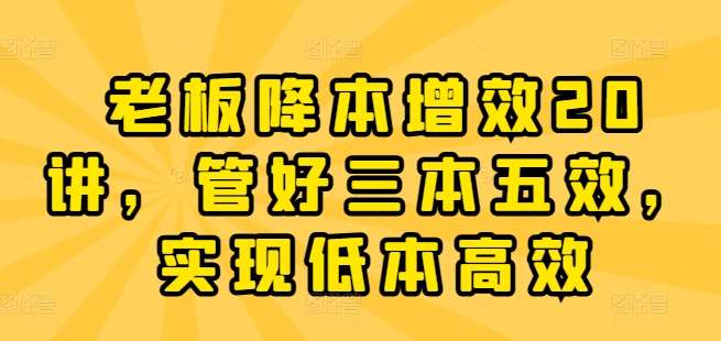 老板降本增效20讲，管好三本五效，实现低本高效插图零零网创资源网