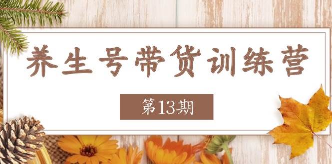 养生号带货训练营【第13期】收益更稳定的玩法，让你带货收益爆炸插图零零网创资源网