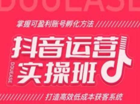 抖音运营实操班，掌握可盈利账号孵化方法，打造高效低成本获客系统插图零零网创资源网