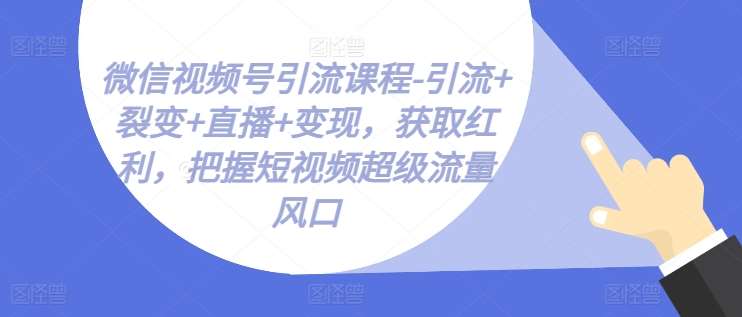 微信视频号引流课程-引流+裂变+直播+变现，获取红利，把握短视频超级流量风口插图零零网创资源网