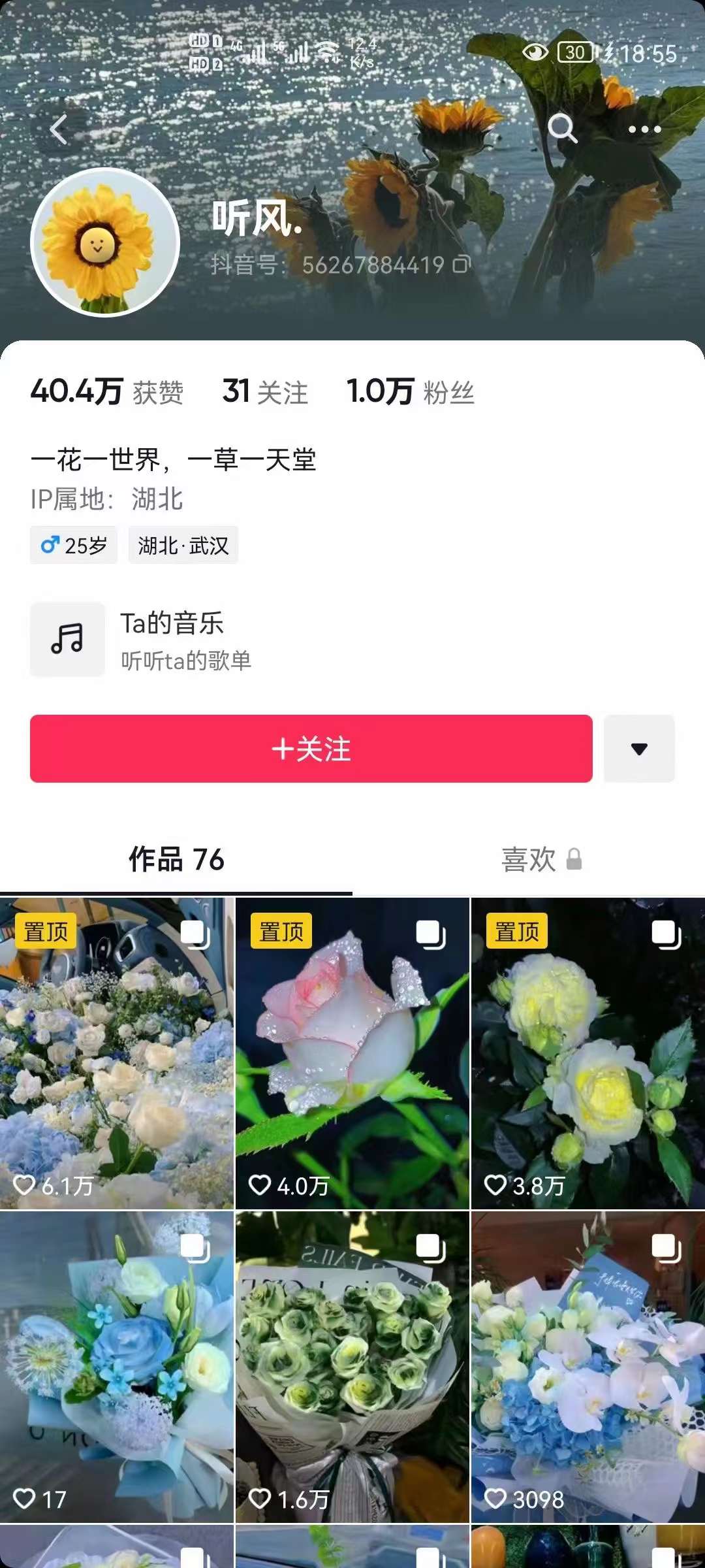 抖音壁纸变现项目：实战日入380+发布壁纸素材获取收益！插图零零网创资源网