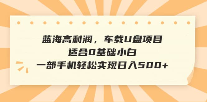 蓝海高利润，车载U盘项目，适合0基础小白，一部手机轻松实现日入500+