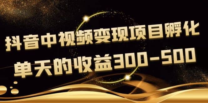 黄岛主《抖音中视频变现项目孵化》单天的收益300-500 操作简单粗暴插图零零网创资源网