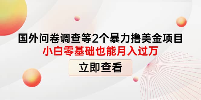 国外问卷调查等2个暴力撸美元项目，小白零基础也能月入过万插图零零网创资源网