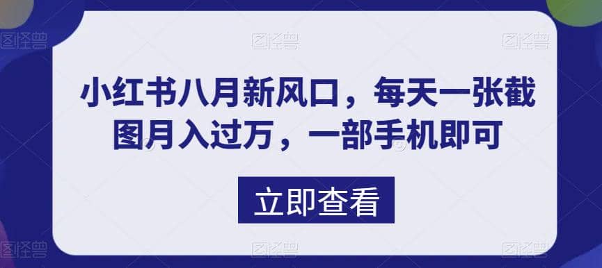 八月新风口，小红书虚拟项目一天收入1000+，实战揭秘