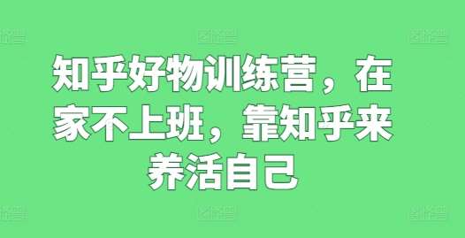 知乎好物训练营，在家不上班，靠知乎来养活自己插图零零网创资源网