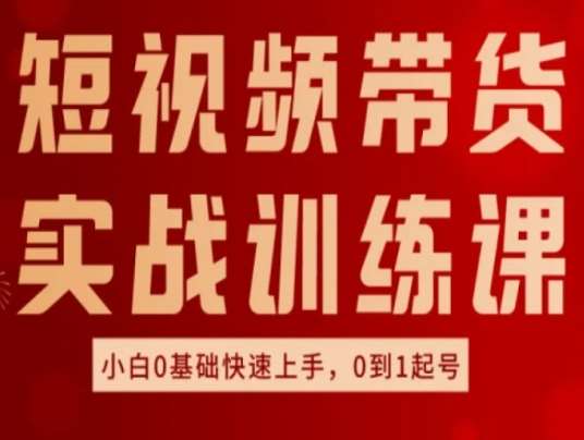短视频带货实战训练课，好物分享实操，小白0基础快速上手，0到1起号插图零零网创资源网-最新赚钱项目