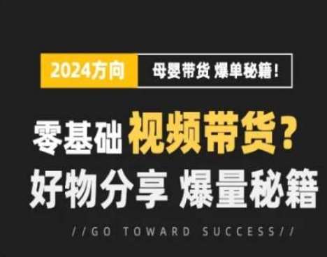 短视频母婴赛道实操流量训练营，零基础视频带货，好物分享，爆量秘籍插图零零网创资源网-最新赚钱项目