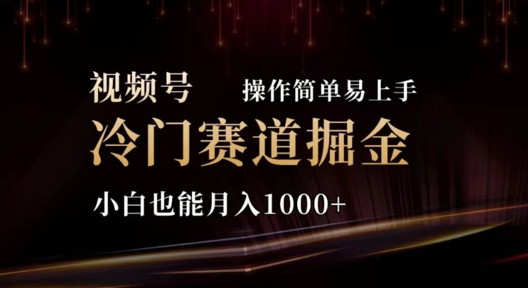 （11378期）2024视频号冷门赛道掘金，操作简单轻松上手，小白也能月入1000+插图零零网创资源网