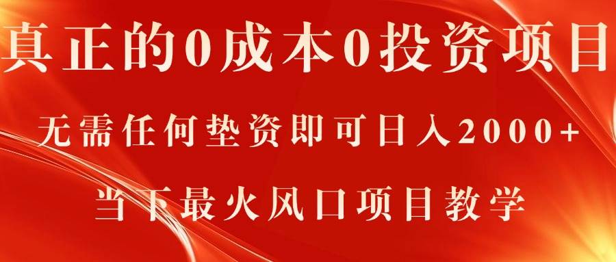 （11387期）真正的0成本0投资项目，无需任何垫资即可日入2000+，当下最火风口项目教学插图零零网创资源网