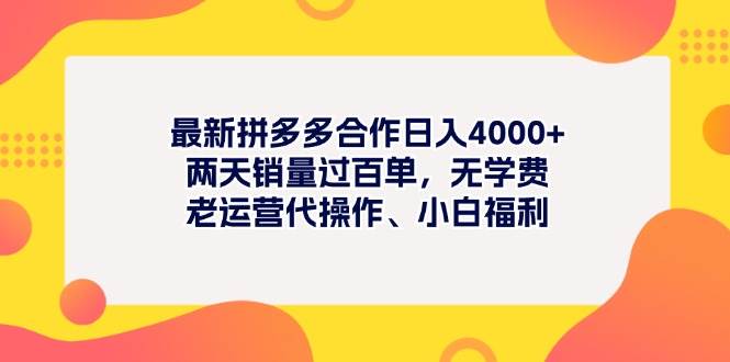 （11410期）最新拼多多项目日入4000+两天销量过百单，无学费、老运营代操作、小白福利插图零零网创资源网-最新赚钱项目
