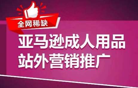 全网稀缺！亚马逊成人用品站外营销推广，​教你引爆站外流量，开启爆单模式插图零零网创资源网