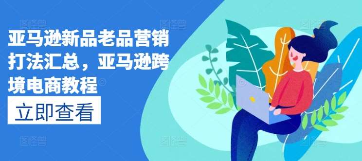 亚马逊新品老品营销打法汇总，亚马逊跨境电商教程插图零零网创资源网-最新赚钱项目