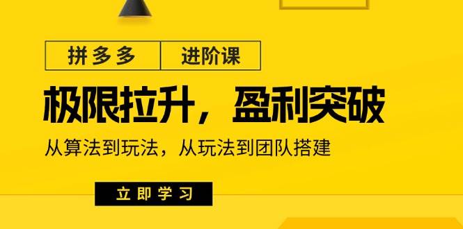 （11435期）拼多多·进阶课：极限拉升/盈利突破：从算法到玩法 从玩法到团队搭建-18节插图零零网创资源网