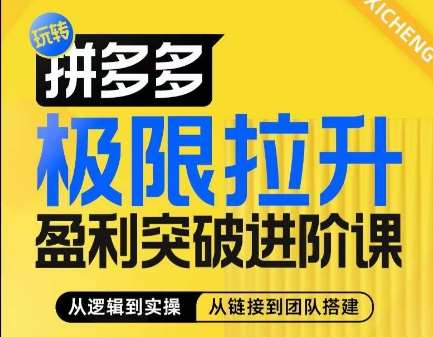 拼多多极限拉升盈利突破进阶课，​从算法到玩法，从玩法到团队搭建，体系化系统性帮助商家实现利润提升插图零零网创资源网