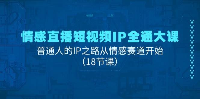 （11497期）情感直播短视频IP全通大课，普通人的IP之路从情感赛道开始（18节课）插图零零网创资源网