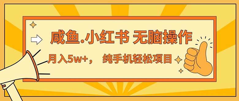 （11524期）2024最赚钱的项目，咸鱼，小红书无脑操作，每单利润500+，轻松月入5万+…插图零零网创资源网