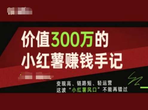 价值300万的小红书赚钱手记，变现高、链路短、轻运营，这波“小红薯风口”不能再错过插图零零网创资源网