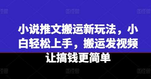 小说推文搬运新玩法，小白轻松上手，搬运发视频让搞钱更简单插图零零网创资源网