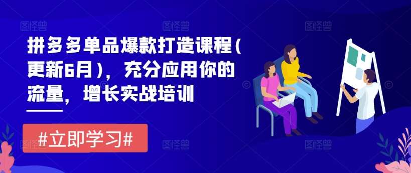 拼多多单品爆款打造课程(更新6月)，充分应用你的流量，增长实战培训插图零零网创资源网