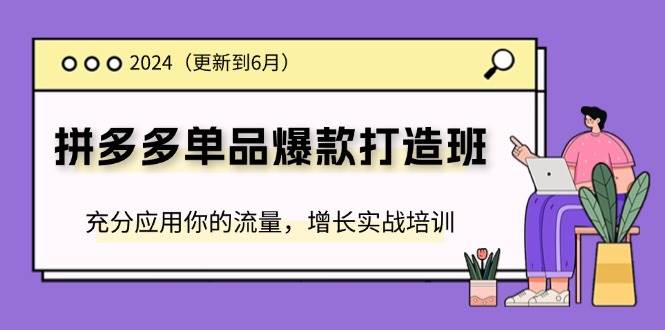 （11556期）2024拼多多-单品爆款打造班(更新6月)，充分应用你的流量，增长实战培训插图零零网创资源网