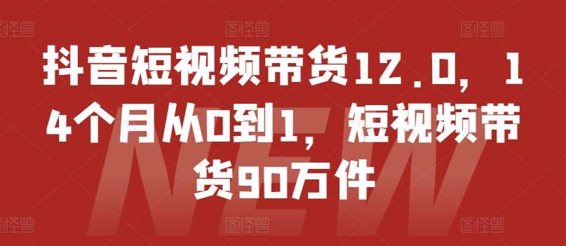 抖音短视频带货12.0，14个月从0到1，短视频带货90万件插图零零网创资源网