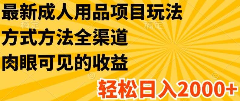 最新成人用品项目玩法，方式方法全渠道，轻松日入2K+【揭秘】插图零零网创资源网-最新赚钱项目
