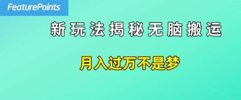 简单操作，每天50美元收入，搬运就是赚钱的秘诀【揭秘】插图零零网创资源网