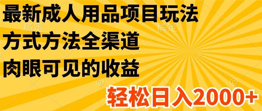 最新成人用品项目玩法，方式方法全渠道，肉眼可见的收益，轻松日入2000+插图零零网创资源网