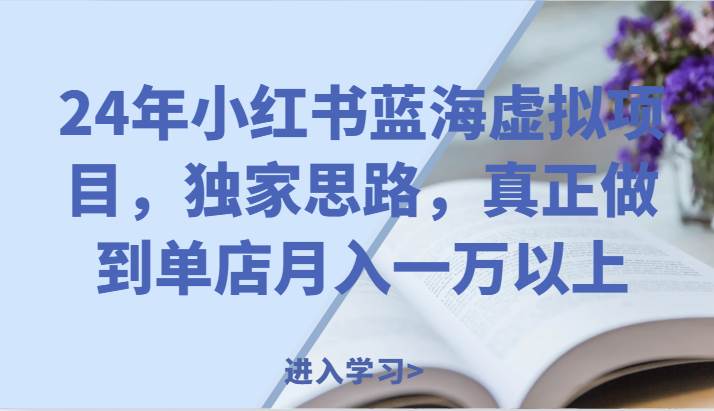 24年小红书蓝海虚拟项目，独家思路，真正做到单店月入一万以上。插图零零网创资源网