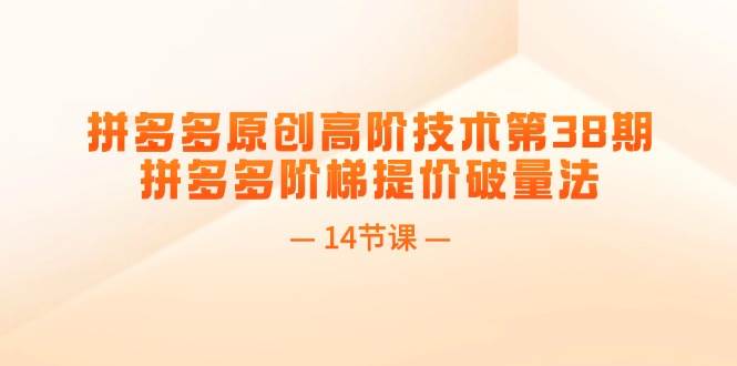 （11704期）拼多多原创高阶技术第38期，拼多多阶梯提价破量法（14节课）插图零零网创资源网