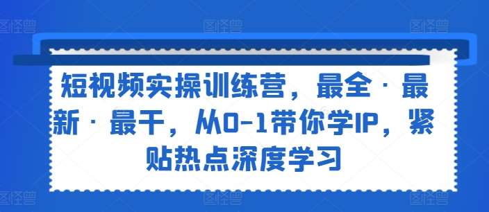 短视频实操训练营，最全·最新·最干，从0-1带你学IP，紧贴热点深度学习插图零零网创资源网