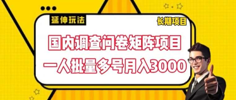 国内调查问卷矩阵项目，一人批量多号月入3000【揭秘】插图零零网创资源网