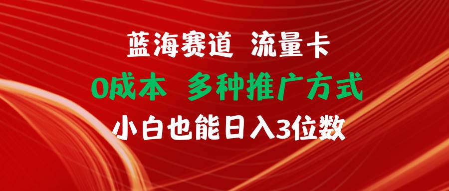 （11768期）蓝海赛道 流量卡 0成本 小白也能日入三位数插图零零网创资源网