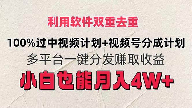 （11862期）利用软件双重去重，100%过中视频+视频号分成计划小白也可以月入4W+插图零零网创资源网