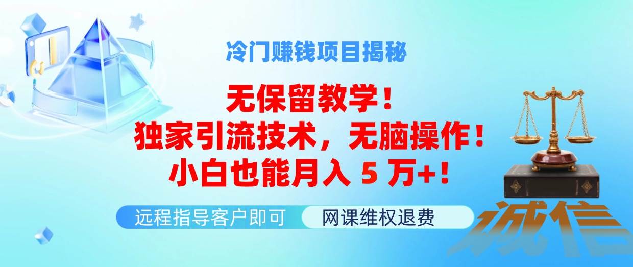 （11864期）冷门赚钱项目无保留教学！独家引流技术，无脑操作！小白也能月入5万+！插图零零网创资源网